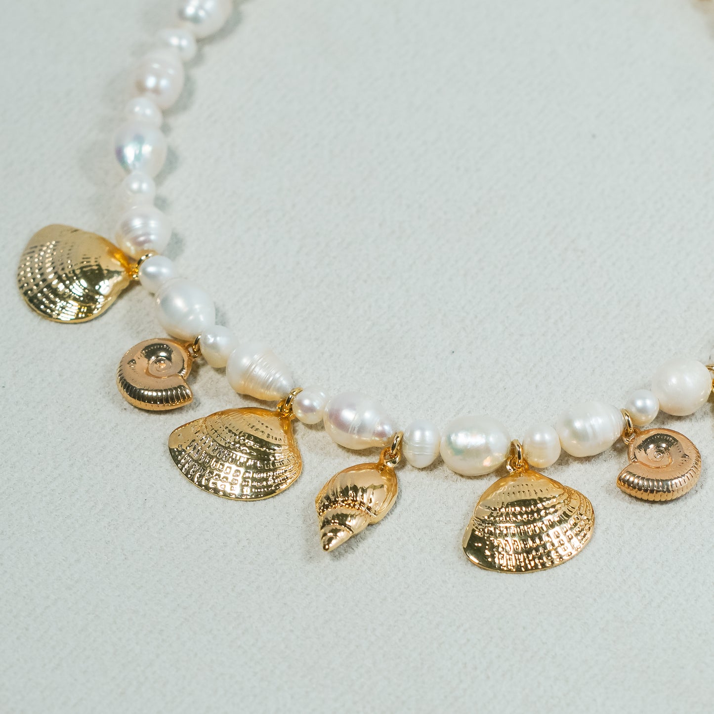 Seashell Charm Necklace