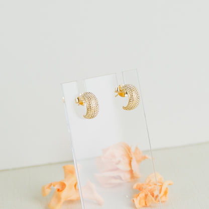 Small Gold Hoop Earrings